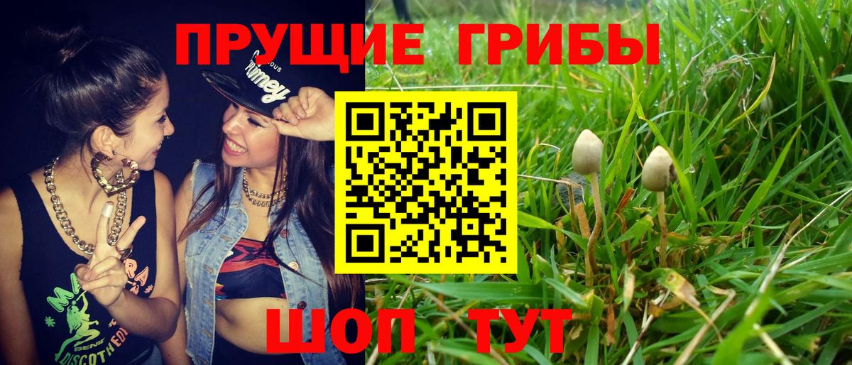 Галлюциногенные грибы мухоморы Бор